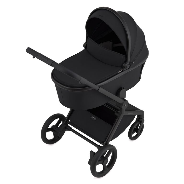 Carucior 2 in 1 Anex FLO LUNGO