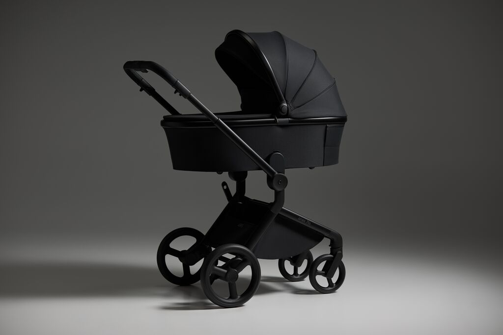 Carucior 2 in 1 Anex FLO LUNGO