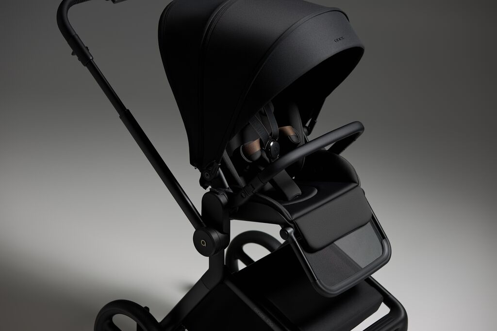Carucior 2 in 1 Anex FLO LUNGO