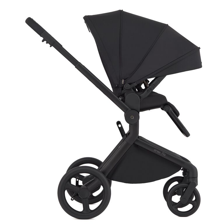 Carucior 2 in 1 Anex FLO LUNGO