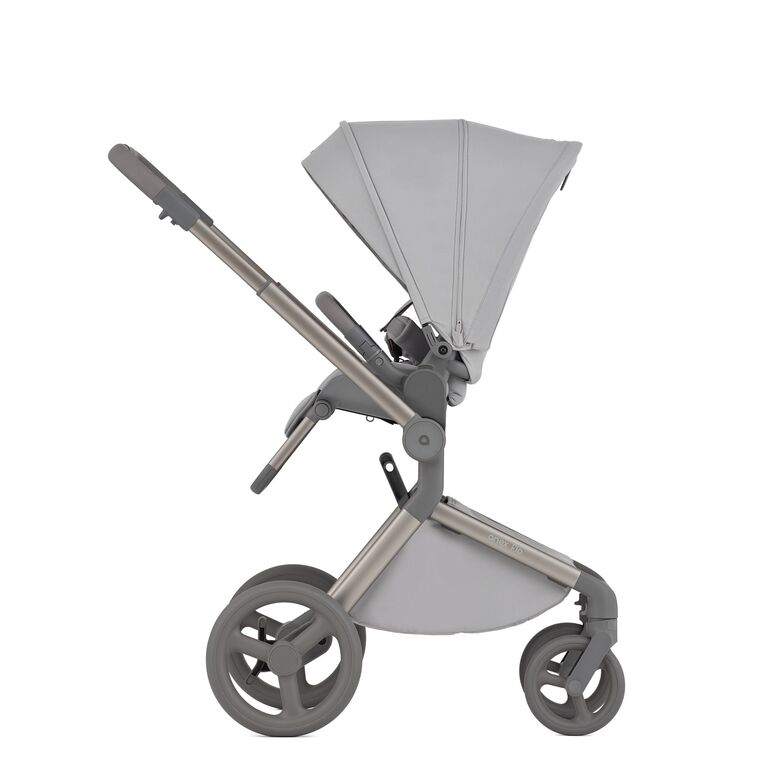Carucior 2 in 1 Anex FLO FROSSY