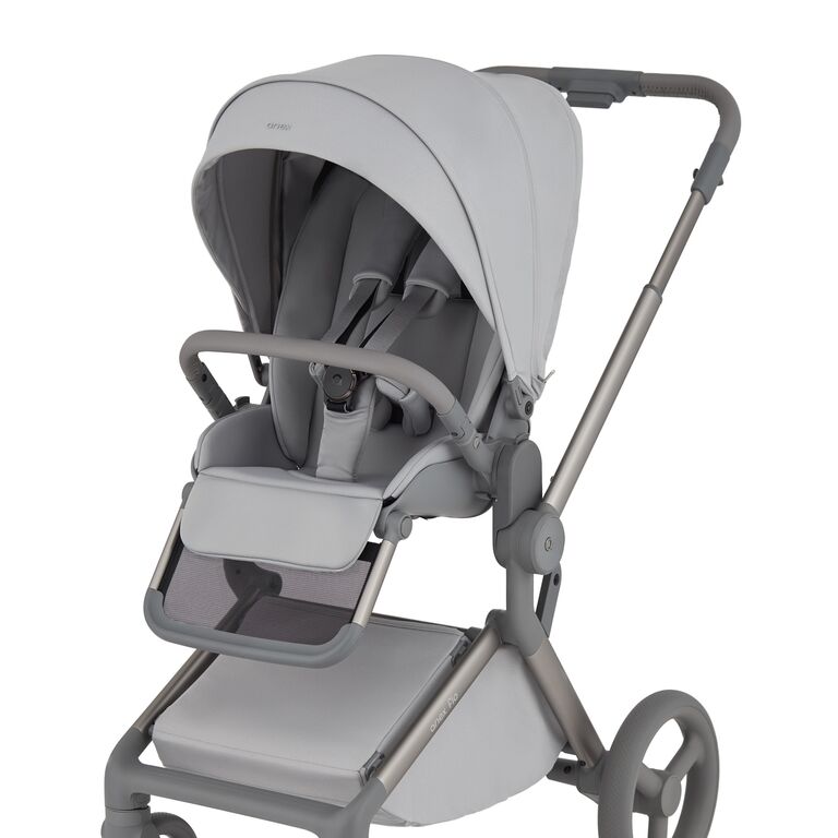 Carucior 2 in 1 Anex FLO FROSSY