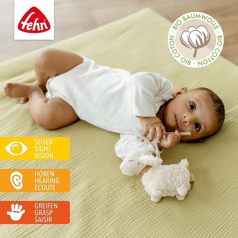 Мини музыкальные игрушки Fehn Natur