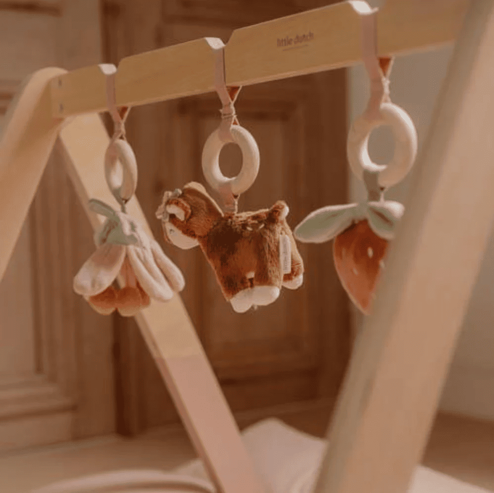 Centru de activitati pentru bebelusi - Baby Gym - Fairy Garden - Little Dutch