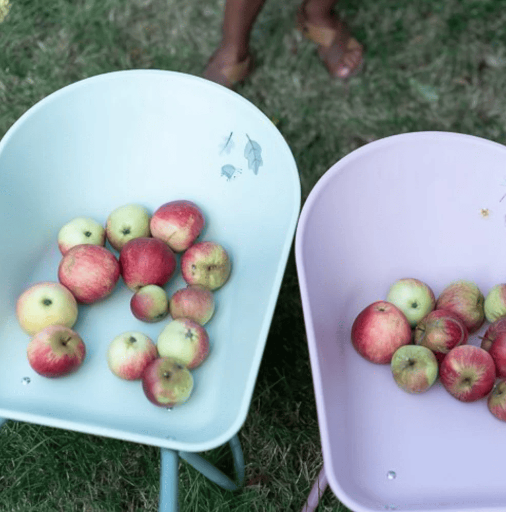 Садовая тачка - Forest Friends - Little Dutch