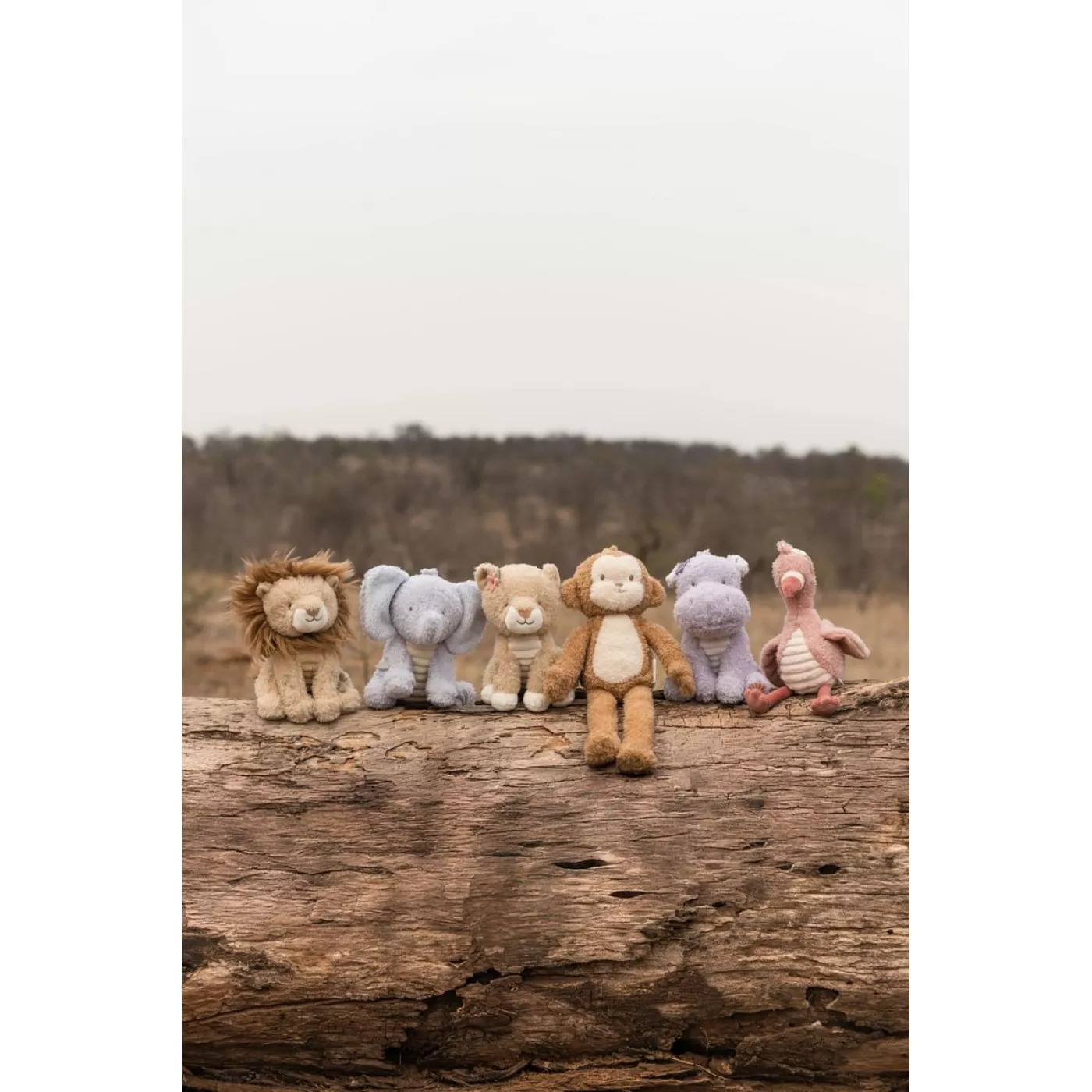 Jucarie din plus - Leu - 25 cm - Safari Friends - Little Dutch 3