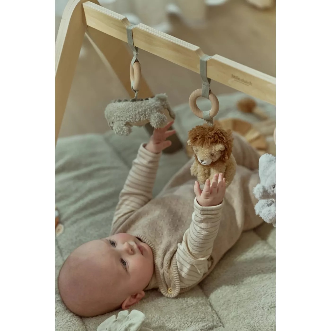 Centru de activitati pentru bebelusi - Baby Gym - Safari Friends - Little Dutch 4