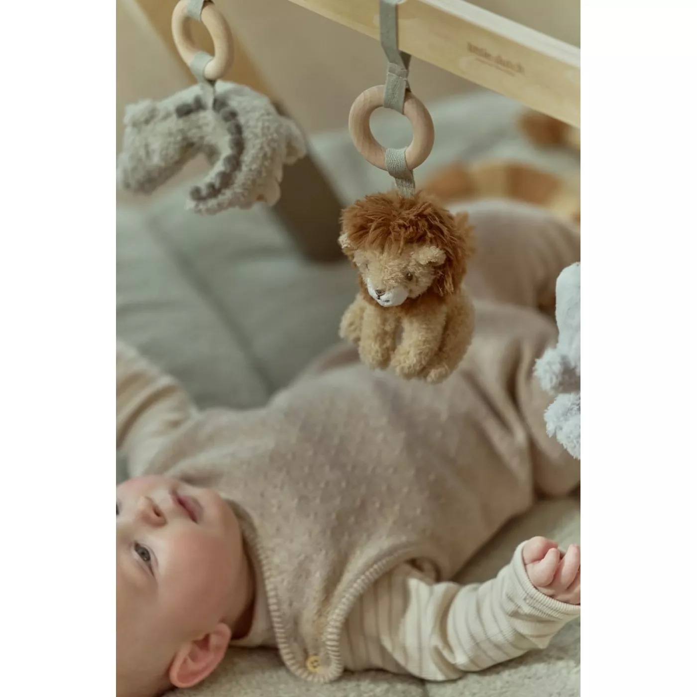 Centru de activitati pentru bebelusi - Baby Gym - Safari Friends - Little Dutch 5
