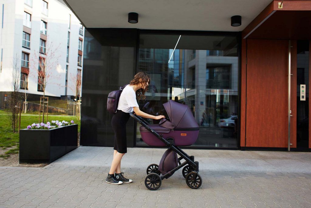 Carucior 2 in 1 Anex E/Type