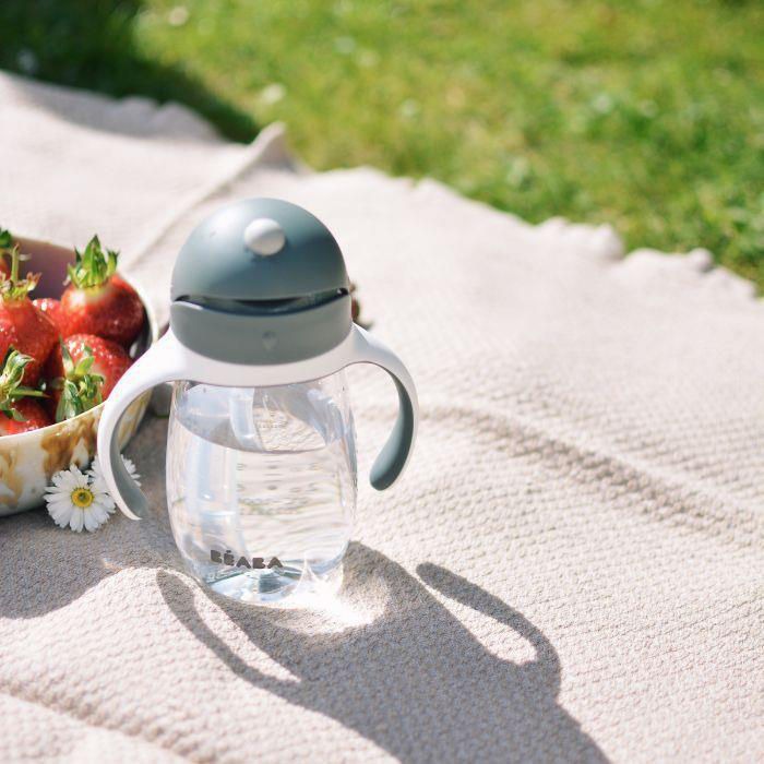 Beaba Cana cu pai din tritan 300ml Mineral Grey B913534
