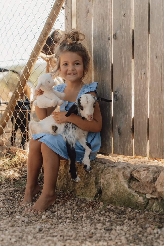 Jucarie din plus - Oita - 17 cm - Colectia Little Farm - Little Dutch