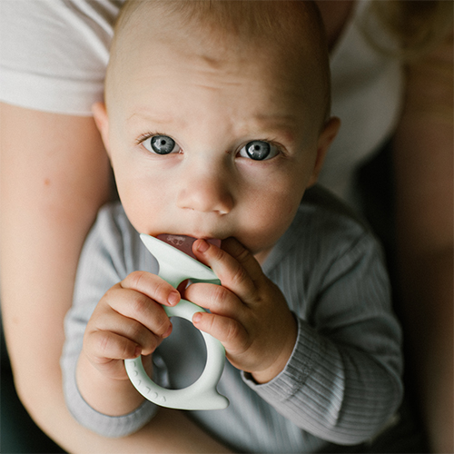 Dentite din silicon Melc,Babyono