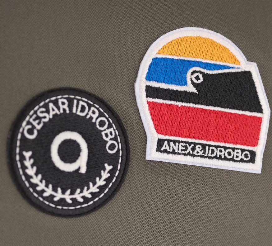 Коляска 2 в 1 Anex Flo специальное издание Stroll with the Flow