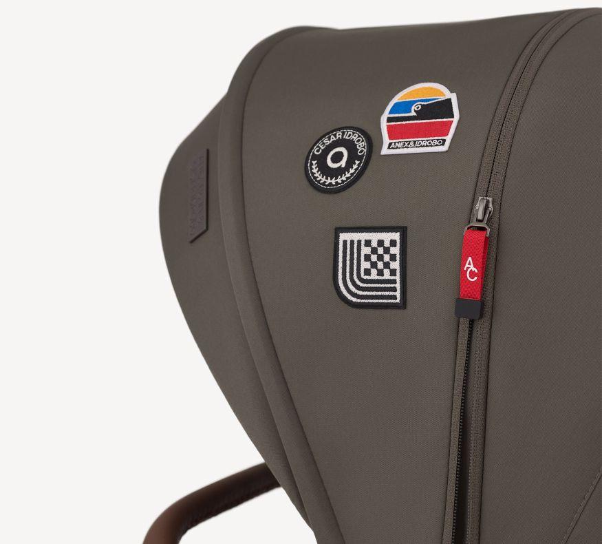 Коляска 2 в 1 Anex Flo специальное издание Stroll with the Flow