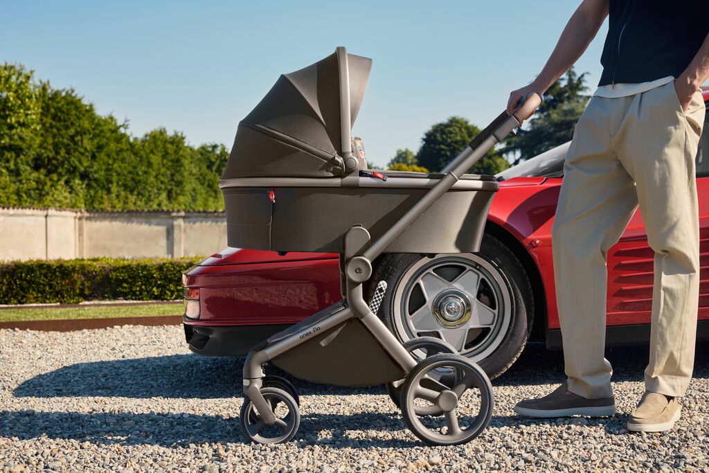 Коляска 2 в 1 Anex Flo специальное издание Stroll with the Flow