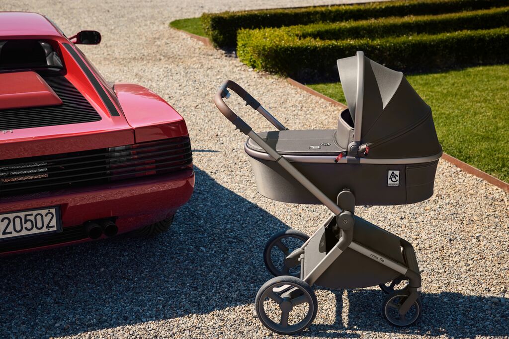 Коляска 2 в 1 Anex Flo специальное издание Stroll with the Flow