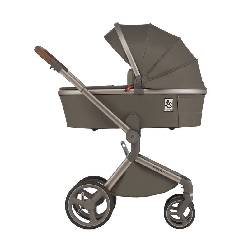 Коляска 2 в 1 Anex Flo специальное издание Stroll with the Flow