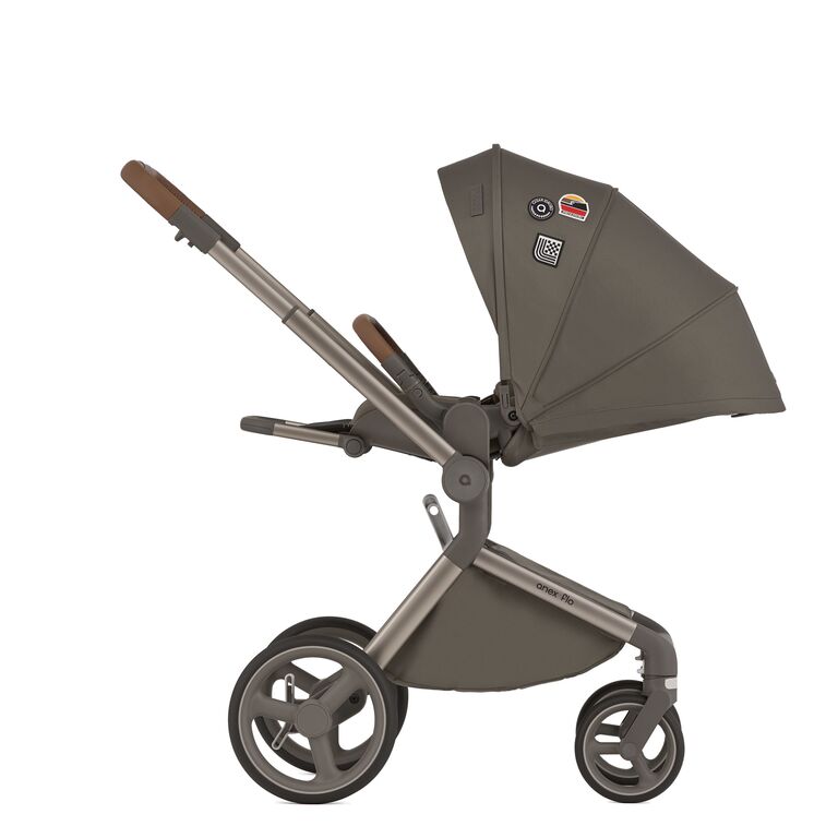 Коляска 2 в 1 Anex Flo специальное издание Stroll with the Flow