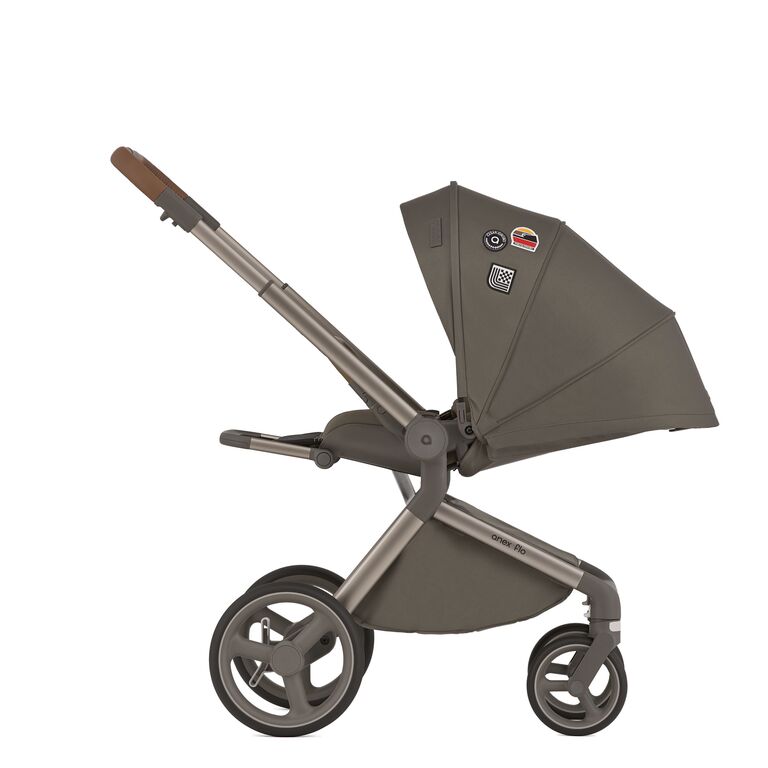 Коляска 2 в 1 Anex Flo специальное издание Stroll with the Flow