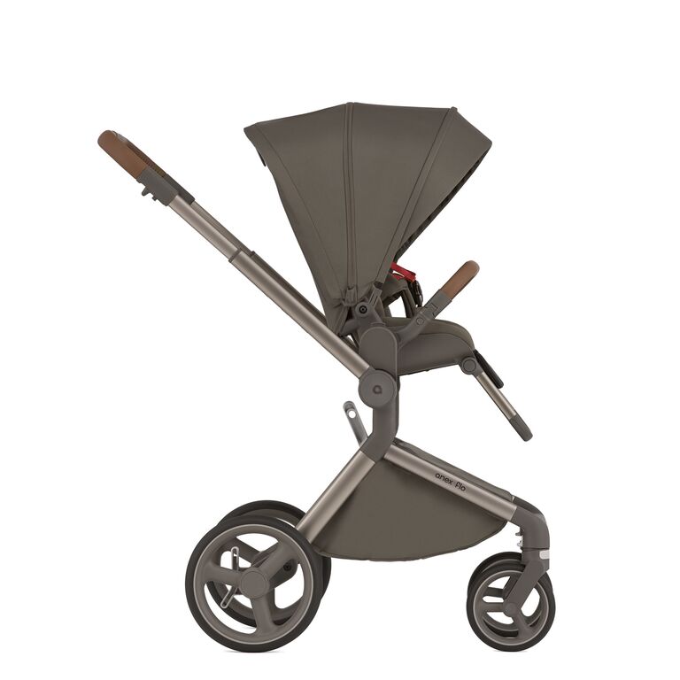 Коляска 2 в 1 Anex Flo специальное издание Stroll with the Flow