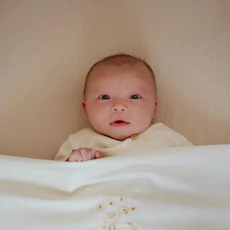 Простыня на резинке из органического хлопка для детской кроватки — 60x120 cm - Pure Soft Beige - Little Dutch