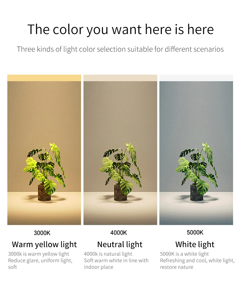 LED Surface light 4W white Size: L58*W35*H65mm