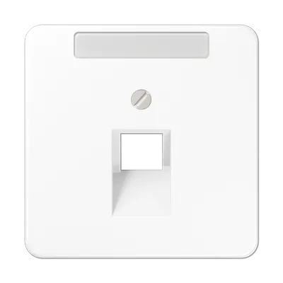 CD569-1NAUAWW Крышка для интернет-розетки с 1 выходом, белый