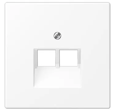 Крышка для двойной интернет-розетки, матовый белый