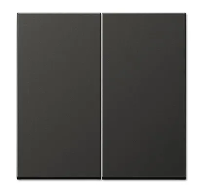 AL2995AN Двойная клавиша для выключателя, антрацит