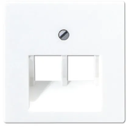 A569-2BFPLUAWW Лицевая панель для двойной интернет-розетки RJ45, белый