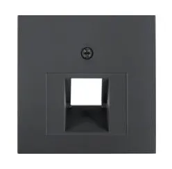 EP569-1BFPLUAAN Capac priza internet simpla, antracit