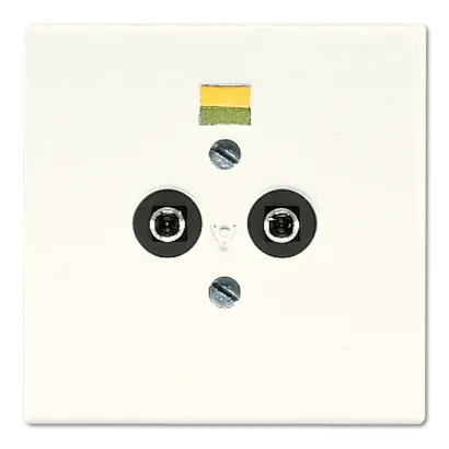 LS965-2 Priza egalizare potential, bej