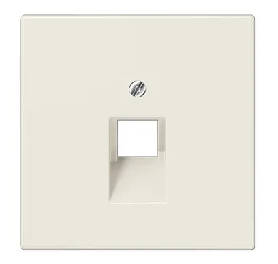 LS969-1UA Крышка для одинарной интернет-розетки, слоновая кость