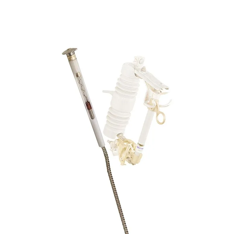 Siguranta pentru fuzibil (30A)