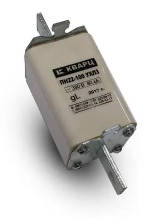 SIGURANTA PN22-100-00 УХЛЗ la 80A