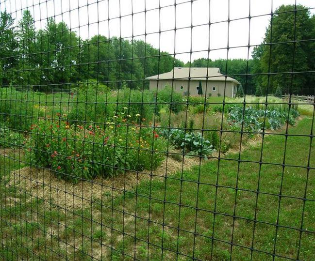 Сетка для защиты от кротов 15x15 мм 40 г/м² (1 м х 10 м) UNITAPE