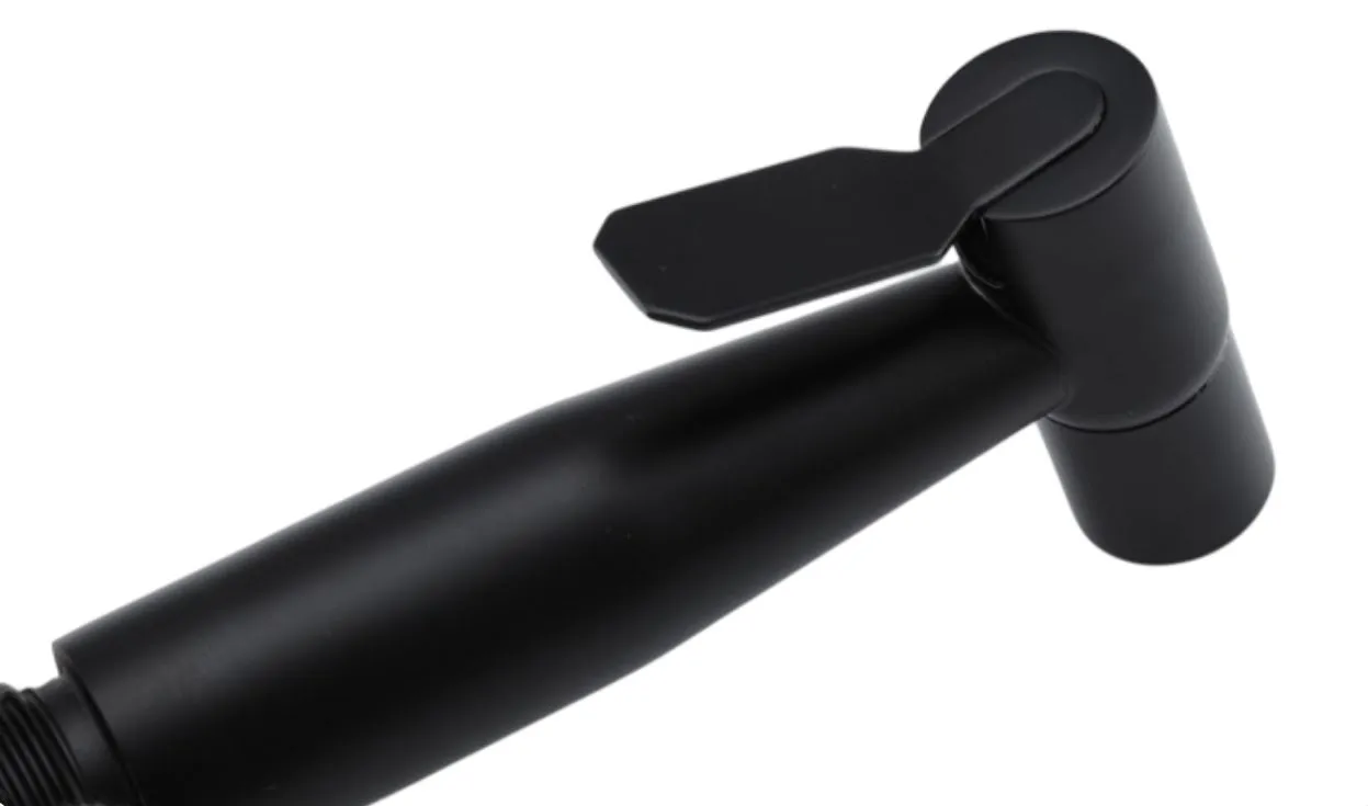 Para dus bideu F21-6 (negru) inox  FRAP