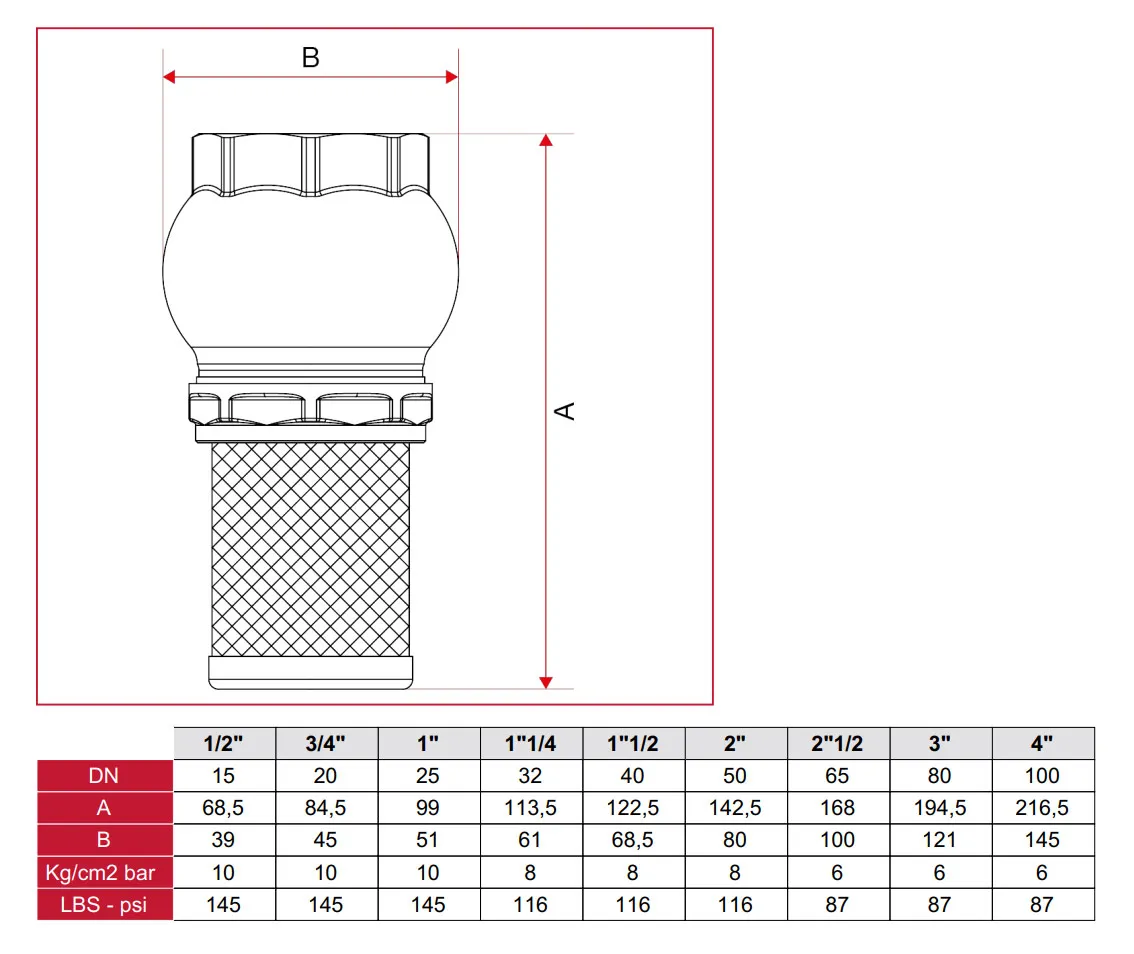 Фильтр бронзовый с обратным клапаном D. 2.1/2" PN6 для насоса 1400212  ITAP