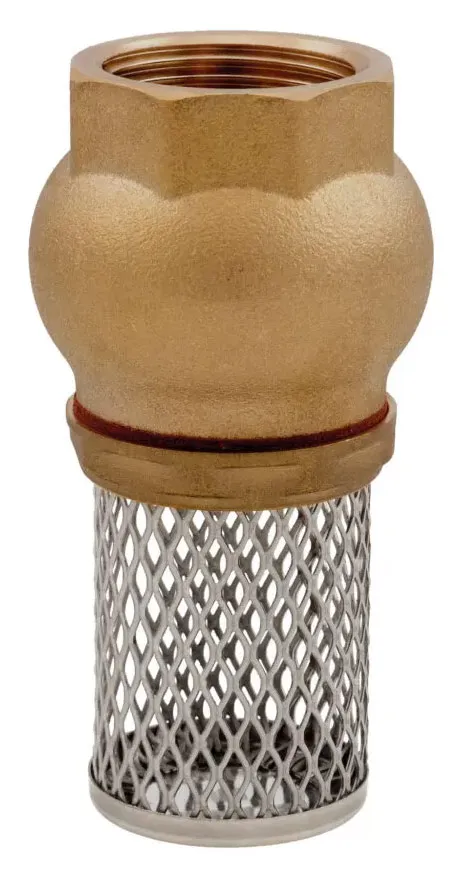 Фильтр бронзовый с обратным клапаном D. 2.1/2" PN6 для насоса 1400212  ITAP