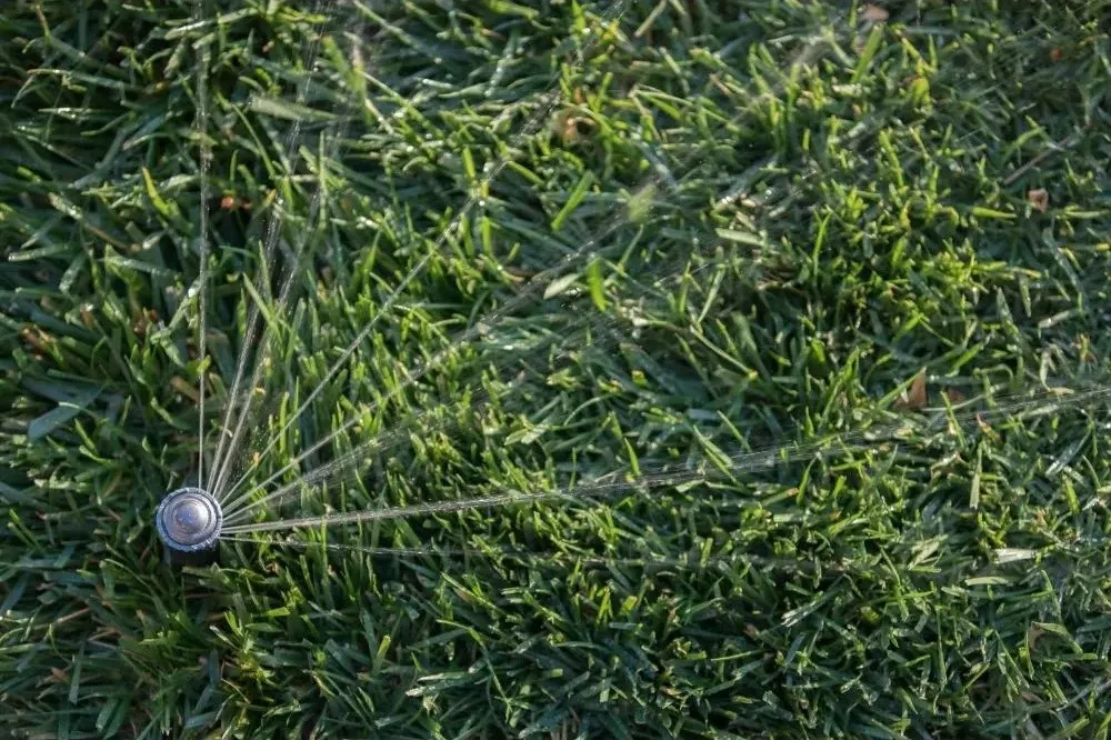 Duza rotativa R-VAN24 45-270°, R=5.2-7.3 m (rosie)  RAIN BIRD