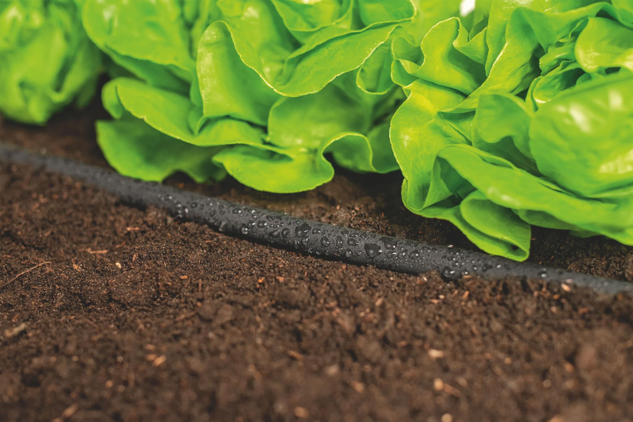 Furtun-aspersor D. 1/2" L=7.5 m + set de conectori DRIP  CELLFAST