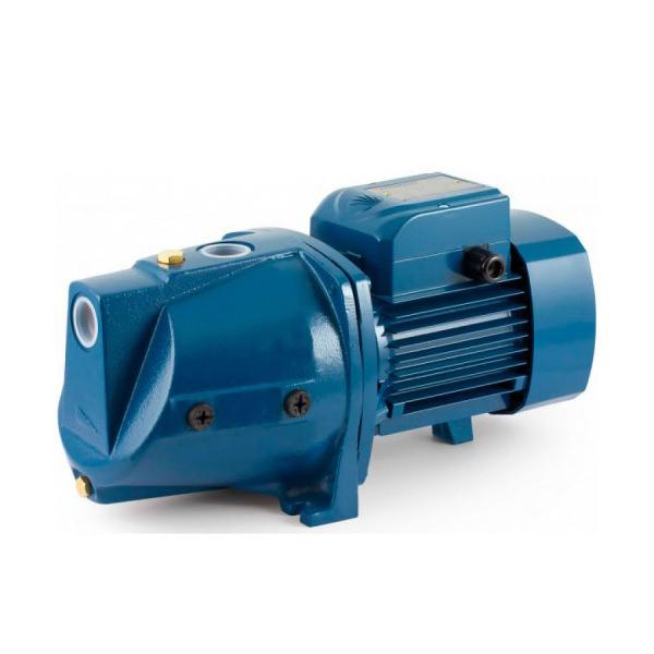 Насос центробежный самовсасывающий H=30 м 0.75 kW JDWm1AX/30-4" Art. 46JDNP7A30A1  PEDROLLO