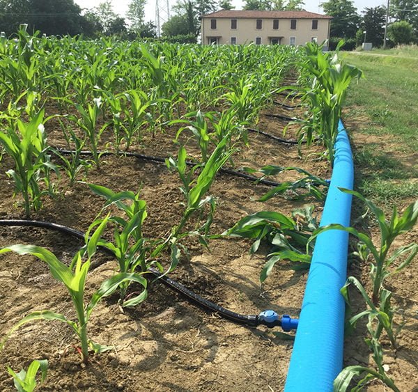 Шланг плоский RioFlex PE D. 3" PN4  SAB