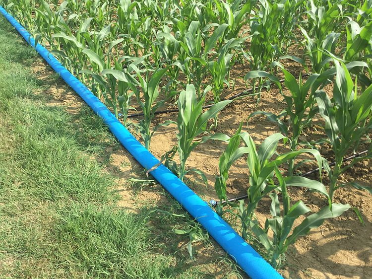 Шланг плоский RioFlex PE D. 3" PN4  SAB