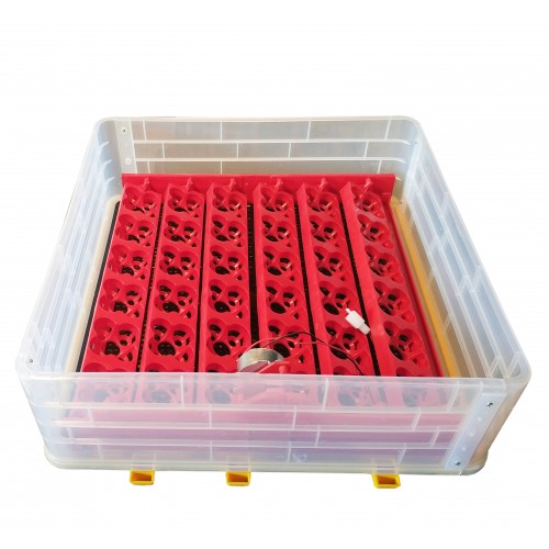 Incubator 36 buc. MS36 (84362100)