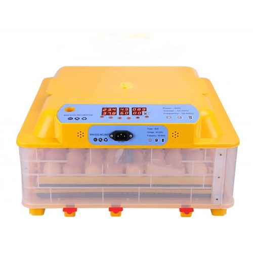 Incubator 56 buc. MS56 (84362100)