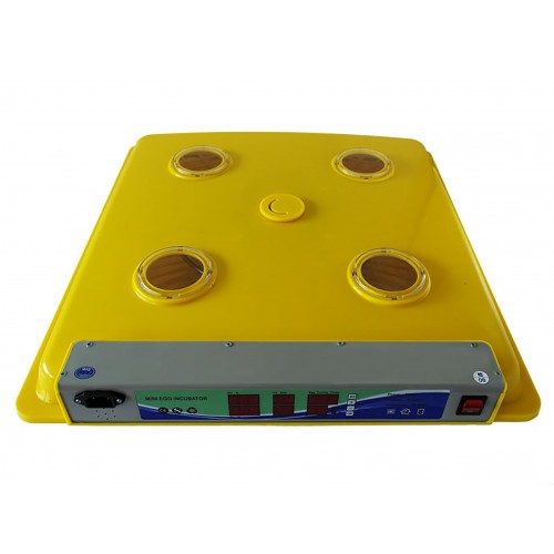 Incubator 98 buc. MS98 (84362100)