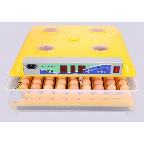 Incubator 98 buc. MS98 (84362100)