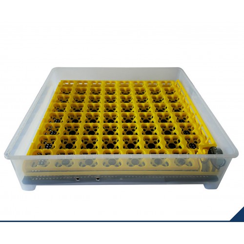 Incubator 64 buc. MS64 (84362100)