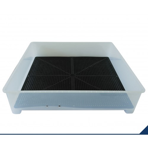 Incubator 64 buc. MS64 (84362100)